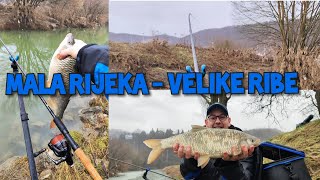 RIJEKA KRAPINA  Feederom po kiši [upl. by Ky]