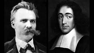 The Exemplar in Spinoza amp Nietzsche [upl. by Gardy]