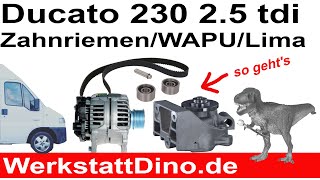 Ducato 230 Zahnriemen wechseln Wasserpumpe wechseln Lichtmaschine wechseln Das volle Programm [upl. by Amik]