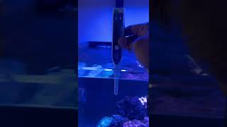 How to use the new IceCap salinity tester reef saltwateraquarium ocean tester [upl. by Rattray]