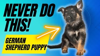 6 Things You Must Never Do With Your German Shepherd Puppy [upl. by Telrahc]