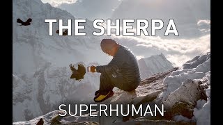 Real life Xmen Biology of the worlds greatest climbers  the Sherpa [upl. by Eybbob]