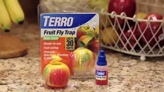 Best Way to Control Fruit Flies TERRO Fruit Fly Trap [upl. by Melvyn]