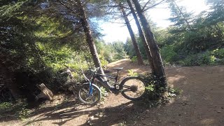 Seabrook WA MTB trails on a Luna X2 EMTB [upl. by Emory]