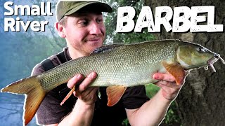 Barbel Fishing on a Small River [upl. by Adeline252]