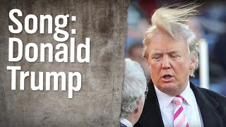 DonaldTrumpSong  extra 3  NDR [upl. by Holtorf768]