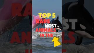 Top 5 Most RARE Animals in the World [upl. by Cynthy]