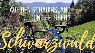 2000 Höhenmeter Rennradtour  Schauinsland Feldberg Titisee Glottertal Schwarzwaldklinik 🇩🇪 [upl. by Meggie]