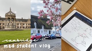 cambridge med student vlog 🌸  exams coursework grantchester end of term [upl. by Dolan]