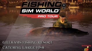 Fishing Sim World Pro Tour ¦ Gillhams Fishing resort  Catching Large Fish [upl. by Oigaib274]