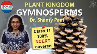 Gymnosperms  Plant kingdom [upl. by Yoj]