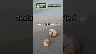 Zeeland die Perle der niederländischen Küste zeelandtrip zeeland urlaubinholland strandurlaub [upl. by Adin]