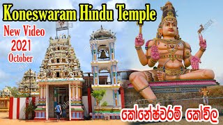 Koneswaram temple very famous hindu temple in Sri Lanka  Koneswaram kovil history in sinhala [upl. by Cyrillus]