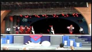 Lviv Ukrainian Dance Ensemble  Senior Hopak 2008 Disney World [upl. by Yentihw149]