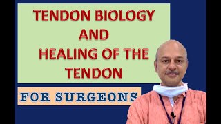 Tendon biology and healing  For surgeons [upl. by Dorweiler149]