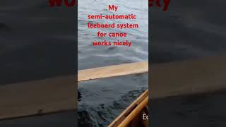 Semiautomatic leeboard system for canoe works nicely 😎 [upl. by Hcirdeirf206]