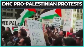 ProPalestinian Protests Remind DNC Of PAINFUL Reality [upl. by Rene832]