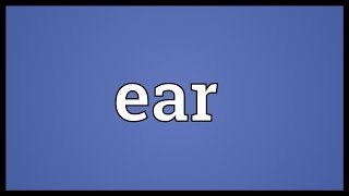 Ear Meaning [upl. by Bixby]