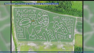 Plympton Farm Honors Tom Brady With Corn Maze [upl. by Lymn556]