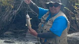 Eastern Sierras fishing trip 2024 [upl. by Marcoux]