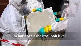 What does asbestos look like [upl. by Brice]