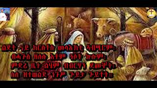 ናይ ልደት መዝሙር ብዘማሪ መርሃዊ ጸጋይ  ኣማን ብኣማን ተወሊዱ ጎይታ  2023 hamere hiwet [upl. by Yenffad637]