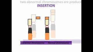 Structural chromosomal abnormalities delation duplication  inversion etc [upl. by Nae]