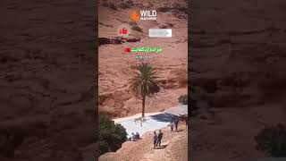 دكفايثجرادة أمطار الخير ⛈️ morocco [upl. by Inglebert998]