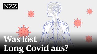 Long Covid Was steckt hinter den chronischen CoronaSymptomen [upl. by Alia]