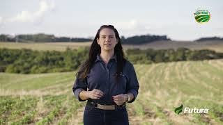 Aplicação Zero  Carolina Deuner  Desafio de Produtividade [upl. by Asik]