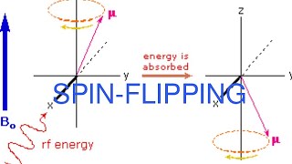 Spin flipping Larmor precession gyromagnetic ratio Boltzman distribution in NMR MajidAli2020 [upl. by Oralle889]