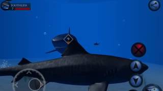 Ultimate Shark Simulator Megalodon Boss Battle [upl. by Deeas727]