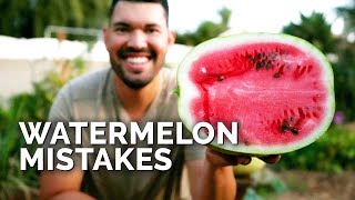 6 Watermelon Growing Mistakes To Avoid 🍉 [upl. by Iong]