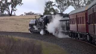 Transport Heritage NSW Locomotive 6029  Bathurst to Wimbeldon  Riding the Train [upl. by Hawk]