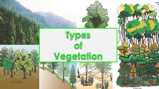 Types of Vegetation Tropical Evergreen Forests amp Tropical Deciduous Forests Dry amp Moist Deciduous [upl. by Thorrlow]