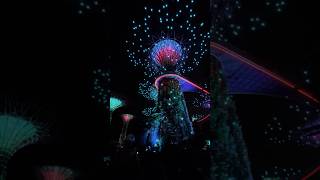 The Supertree Grove light show at Gardens by the Bayyoutubeshorts youtube vlog [upl. by Doig]