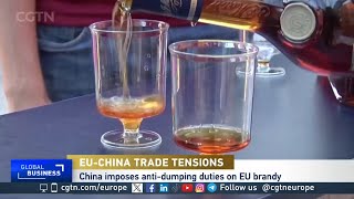 China targets French brandy after EU approves EV tariffs [upl. by Wampler]