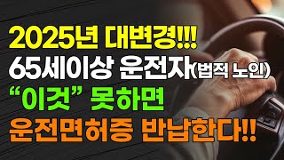 2025년 대변경 65세 이상 운전자법적 노인 quot이것quot 못하면 운전면허증 반납한다 [upl. by Ladiv]