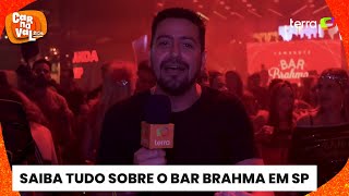 Carnaval 2024 Repórter mostra como é dentro do Camarote Bar Brahma [upl. by Domella498]