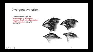 Convergence and Divergence  Introduction to Series [upl. by Sinoda977]