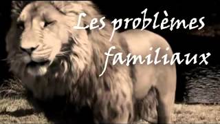 TRAILER OFFICIAL  LE LION [upl. by Eniale]