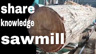 A great knowledge for wood lovers in the wood factory 1million [upl. by Ivett]