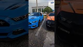 Mustang Madness A Spectacular Row of Horsepower mustang mustangs [upl. by Nama]