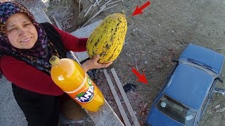 Ayşe TAM 6 Kiloluk DEV Kavunu Arabanın Tepesine DİKİNE ÇAKTI Car VS muskmelon Experiment [upl. by Bywoods655]