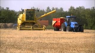 Barley Harvest 2013 New Holland Clayson S1540 [upl. by Ecienaj]