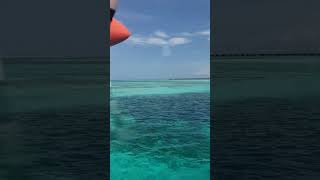 Trans Maldivian Airways Flight Taking off and Flying Over Cocoon Maldives Lagoon June 2024 [upl. by Anoynek]