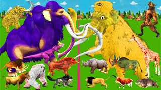 Modern Mammals vs Cenozoic Animals Size Comparison Mammoth TRex Vs Elephant Lion Animal Epic Battle [upl. by Ahsaele717]