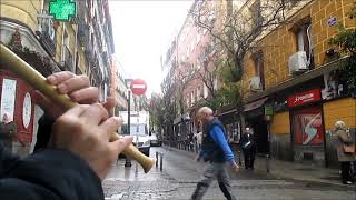 El barberillo de Lavapiés Francisco Asenjo Barbieri Selección  Flauta dulce [upl. by Goldie]