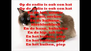 Pulcino Pio  Het Kuikentje Piep LYRICS [upl. by Madaras145]