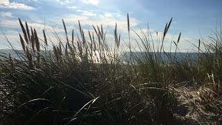 Sommertage in DÄNEMARK — ein Kurztrip im Reisemobil an die Nordseeküste 🇩🇰 [upl. by Secrest]